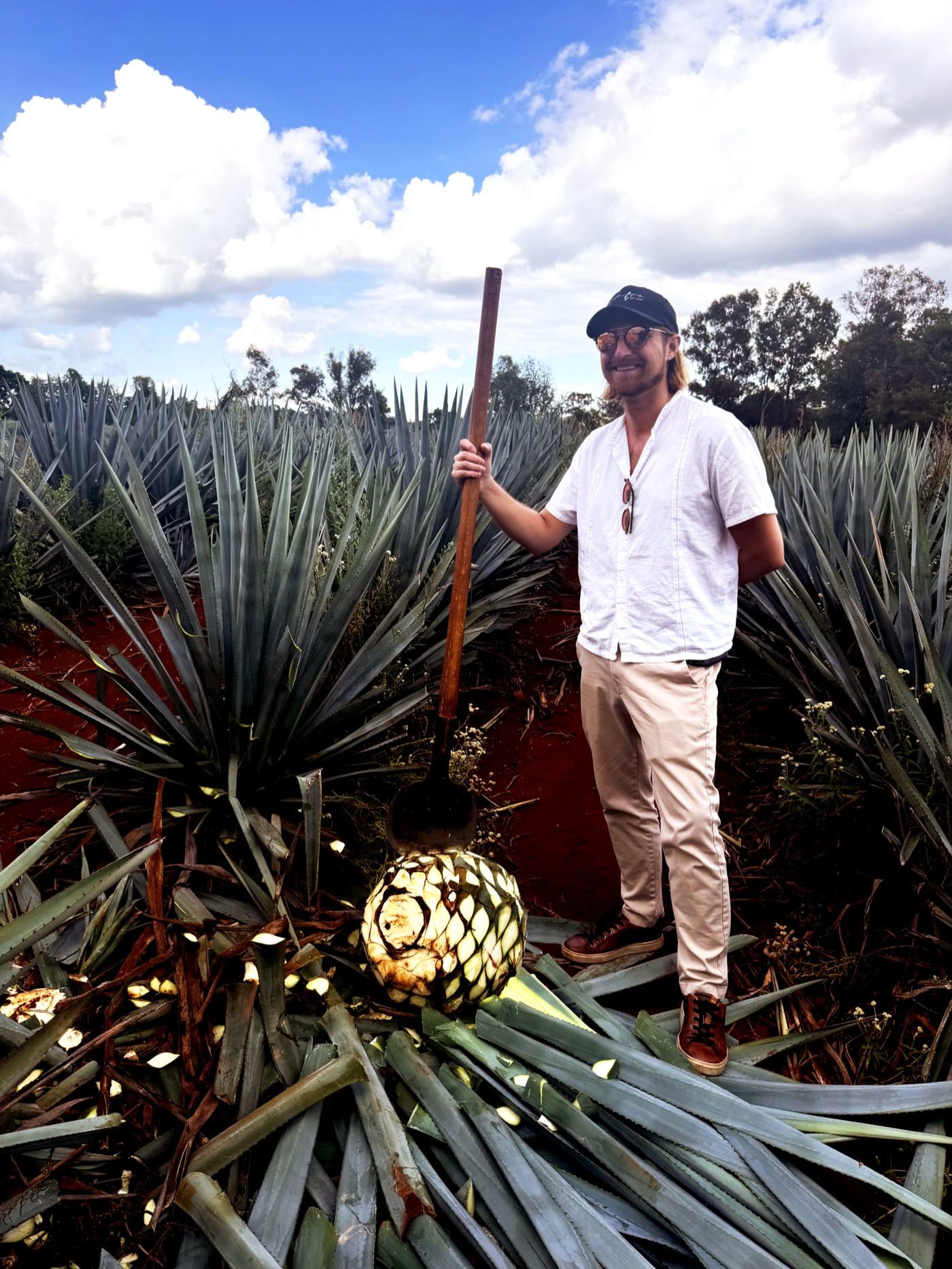 Daniel Idźkowski standing in a blue agave field, holding a coa beside a freshly harvested agave piña